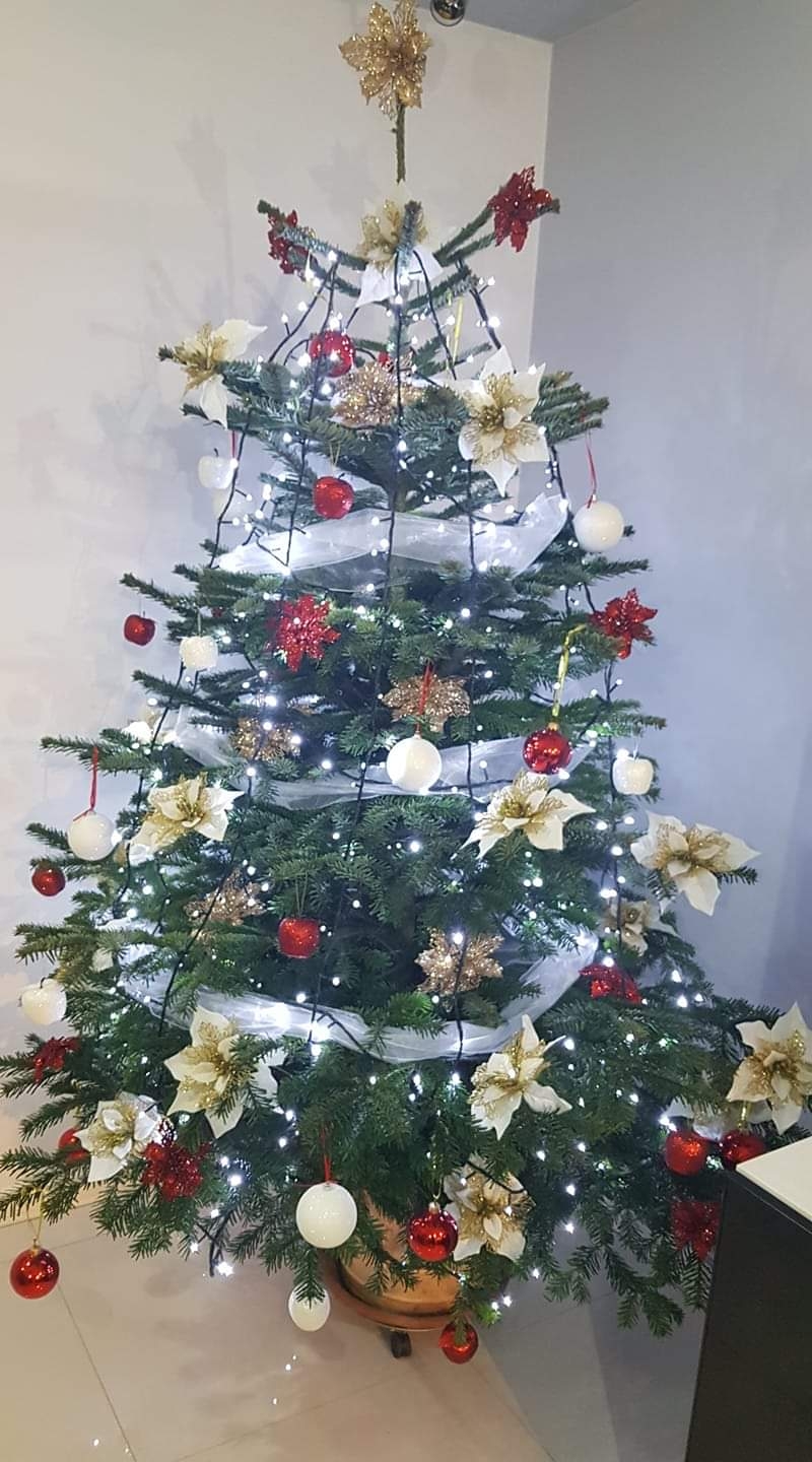 100/105 Piękne choinki czytelników portalu gorzowianin.com