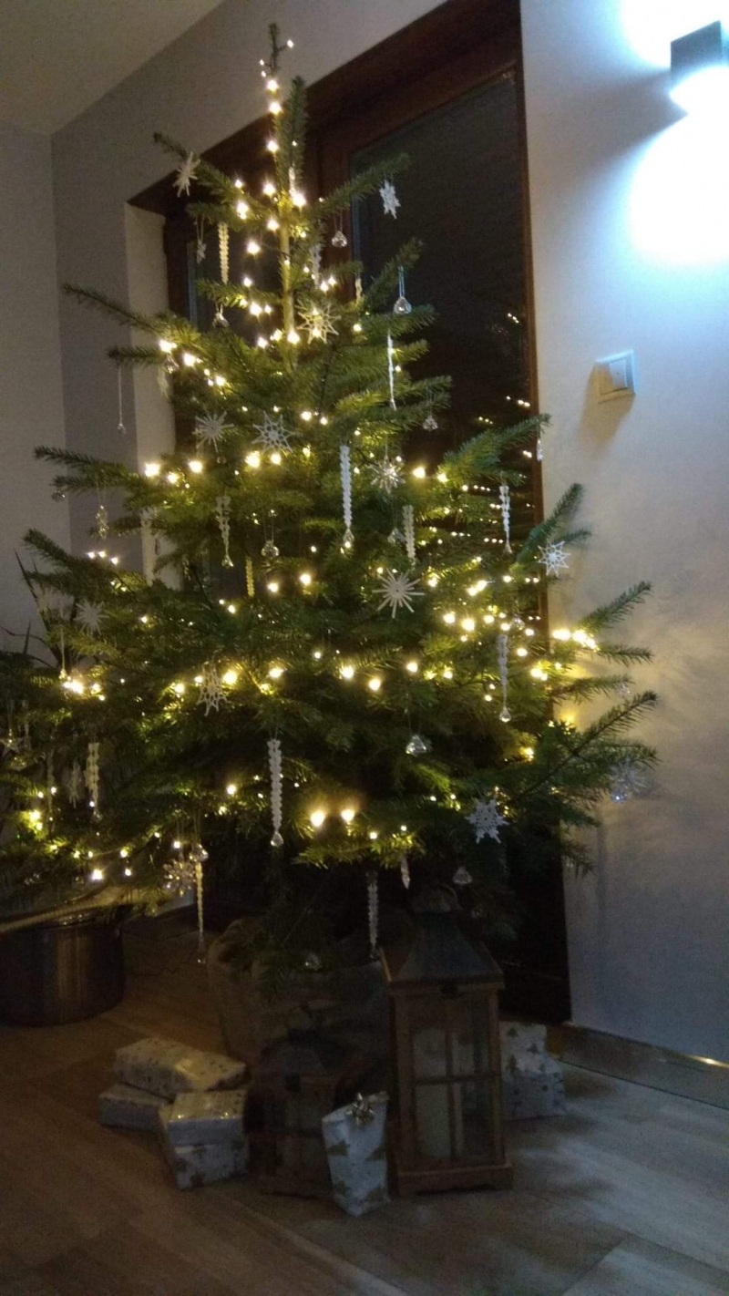 101/105 Piękne choinki czytelników portalu gorzowianin.com