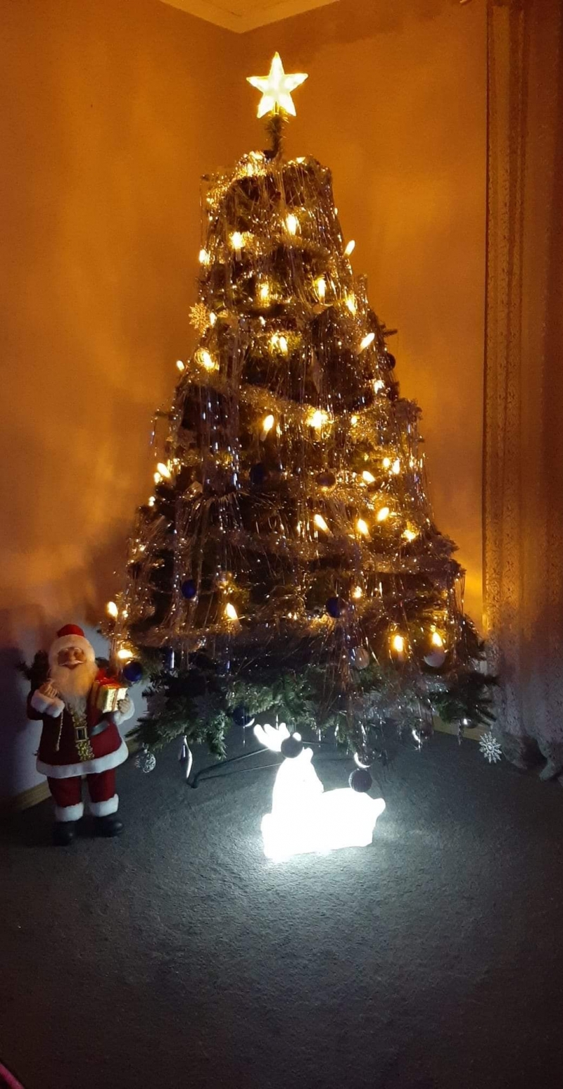 104/105 Piękne choinki czytelników portalu gorzowianin.com