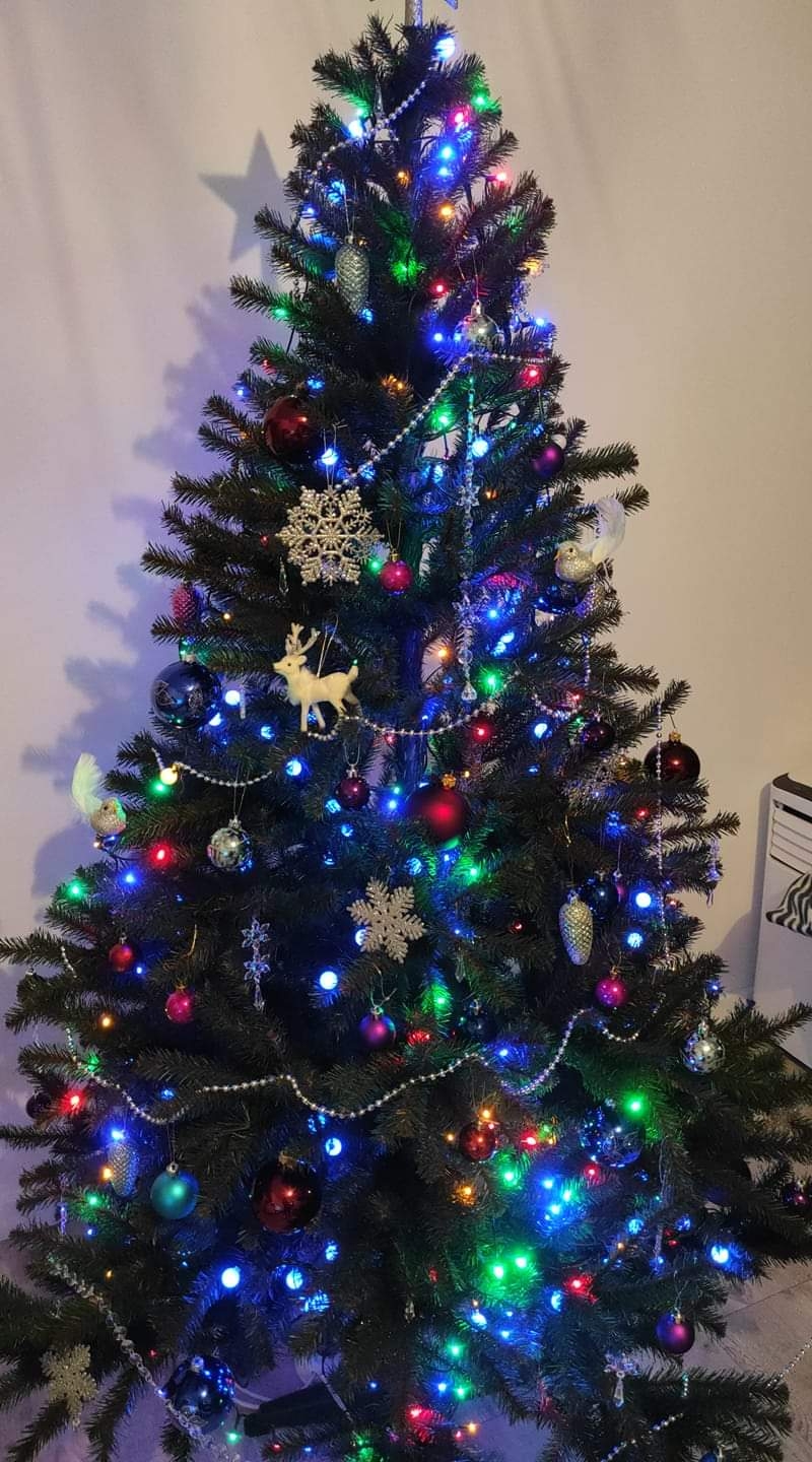 105/105 Piękne choinki czytelników portalu gorzowianin.com