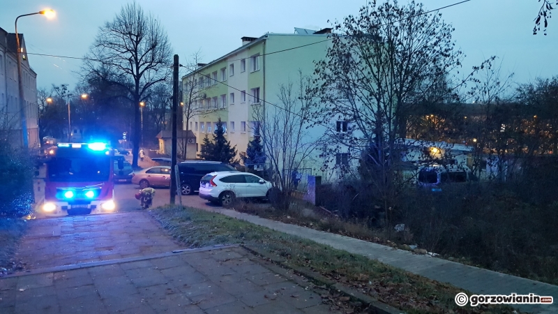 3/6 Zwłoki odnalezione w krzakach przy ul. Sienkiewicza