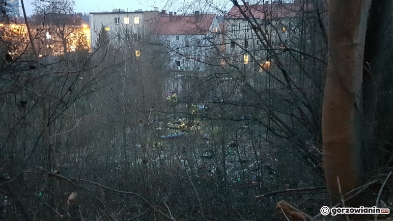 4/6 Zwłoki odnalezione w krzakach przy ul. Sienkiewicza