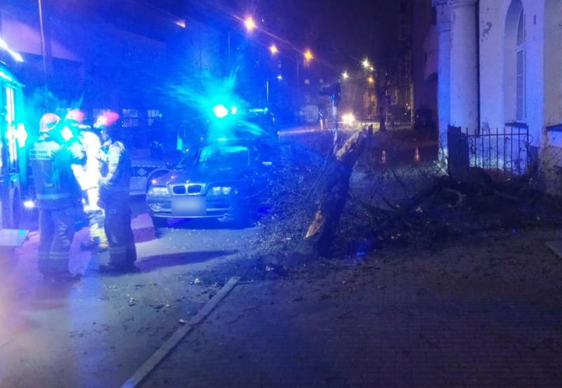 3/3 Kierujący BMW uderzył w drzewo