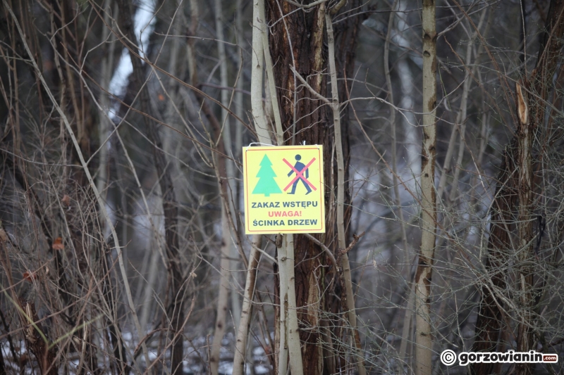 3/20 Ruszyły pierwsze prace przy budowie hali widowiskowo-sportowej