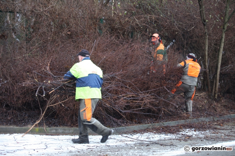 11/20 Ruszyły pierwsze prace przy budowie hali widowiskowo-sportowej