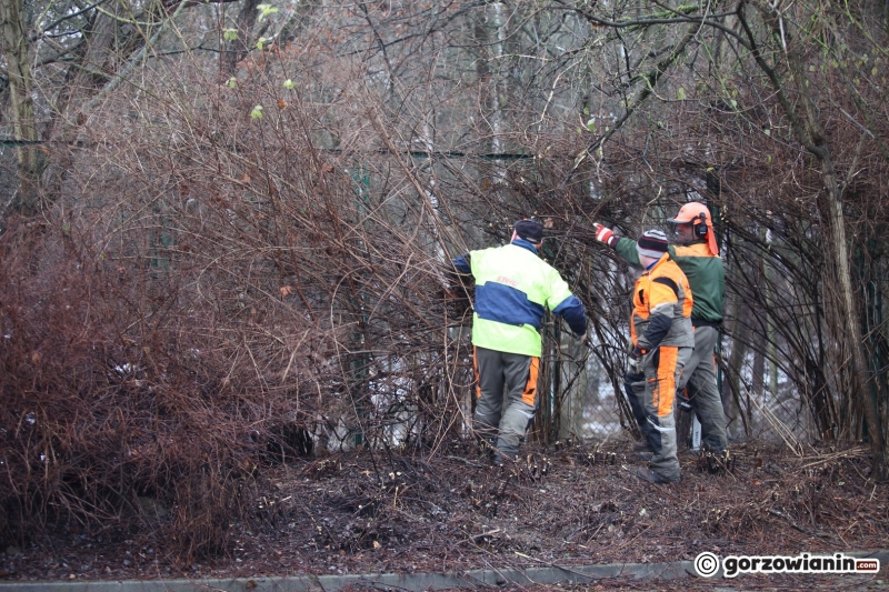 13/20 Ruszyły pierwsze prace przy budowie hali widowiskowo-sportowej