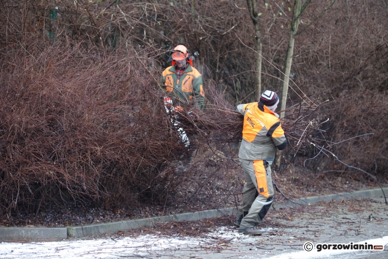 15/20 Ruszyły pierwsze prace przy budowie hali widowiskowo-sportowej