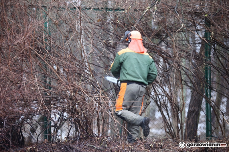 18/20 Ruszyły pierwsze prace przy budowie hali widowiskowo-sportowej