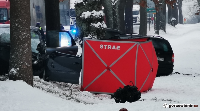 4/10 Śmiertelny wypadek na DK22 w Wełminie