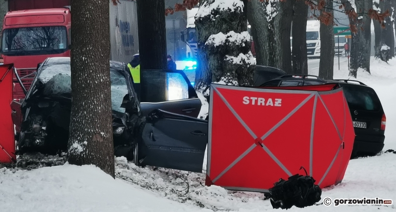 6/10 Śmiertelny wypadek na DK22 w Wełminie