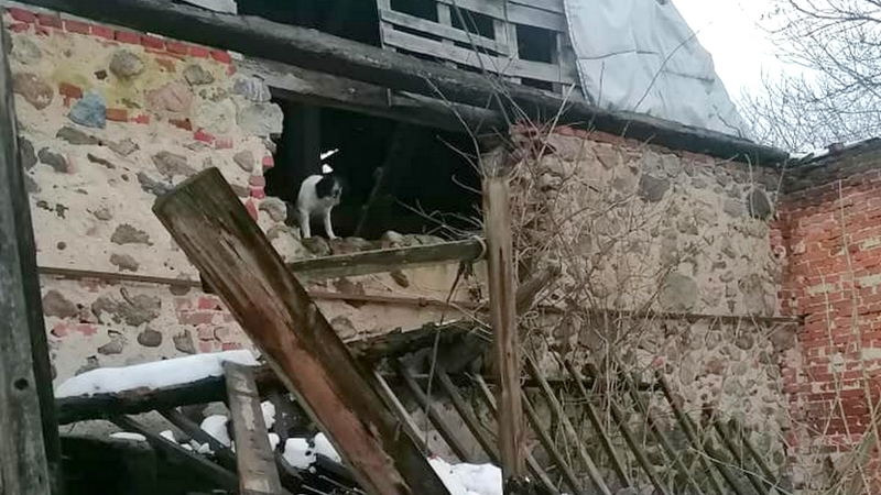 6/6 Akcja ratunkowa psa w Racławiu