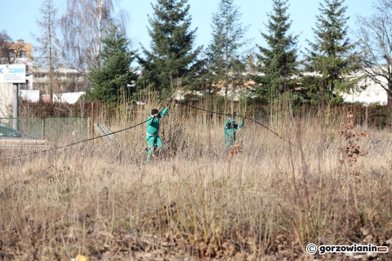 5/11 Ruszyła budowa N-Parku