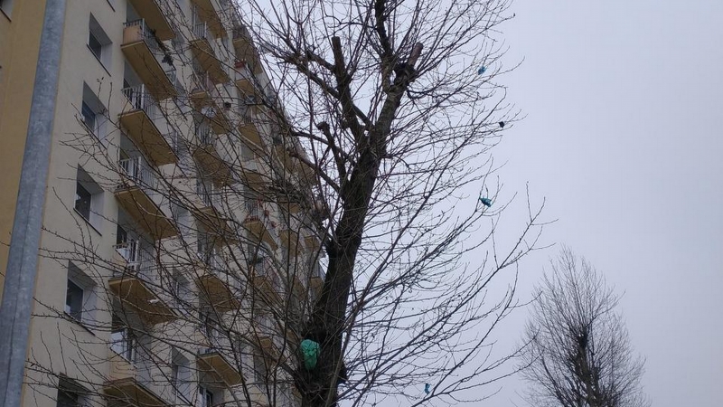 6/6 Nieczystości wyrzucane przez okno na Gwiaździstej