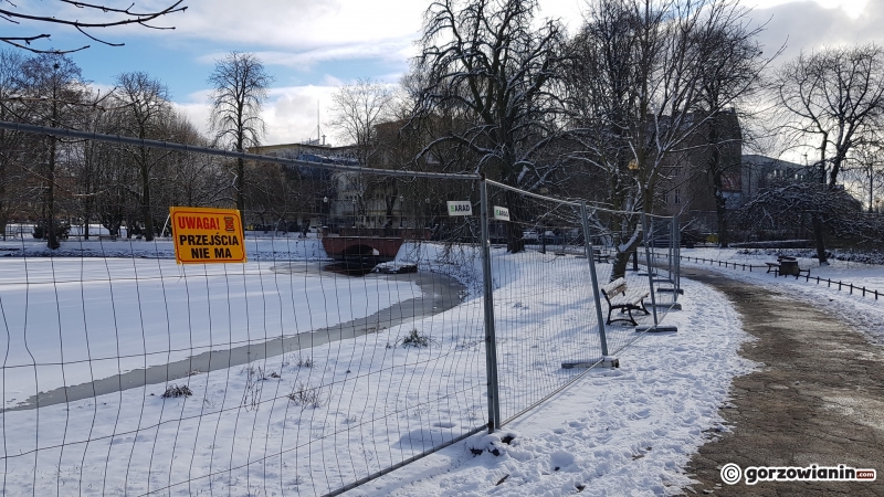 5/12 Rewitalizacja parku Róż