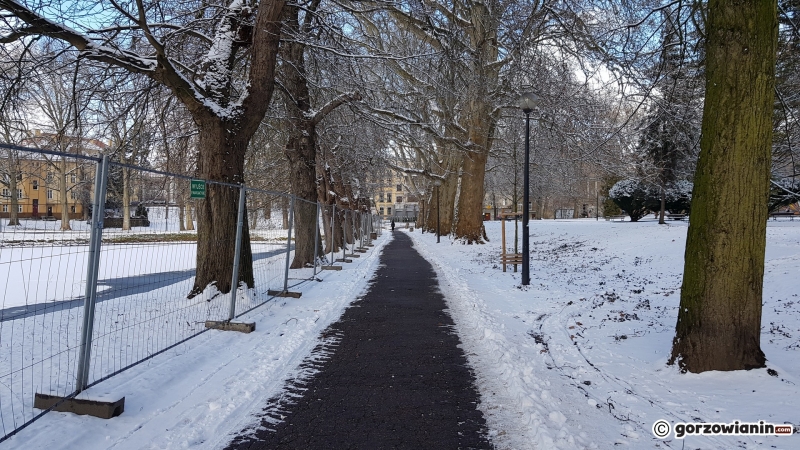 6/12 Rewitalizacja parku Róż