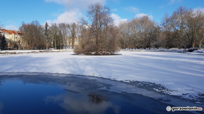 9/12 Rewitalizacja parku Róż