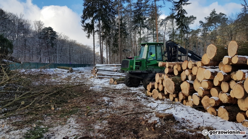 11/13 Wycinka drzew w parku Słowiańskim