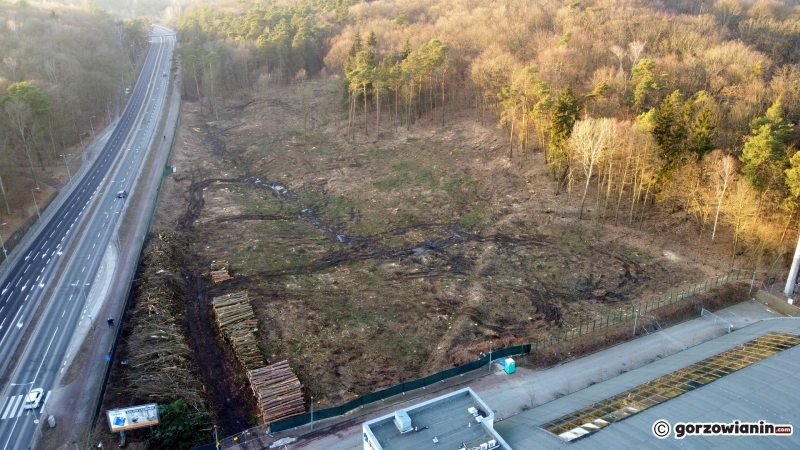 5/9 Trwa wycinka drzew w Parku Słowiańskim