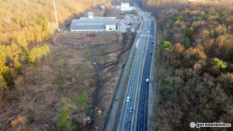 8/9 Trwa wycinka drzew w Parku Słowiańskim