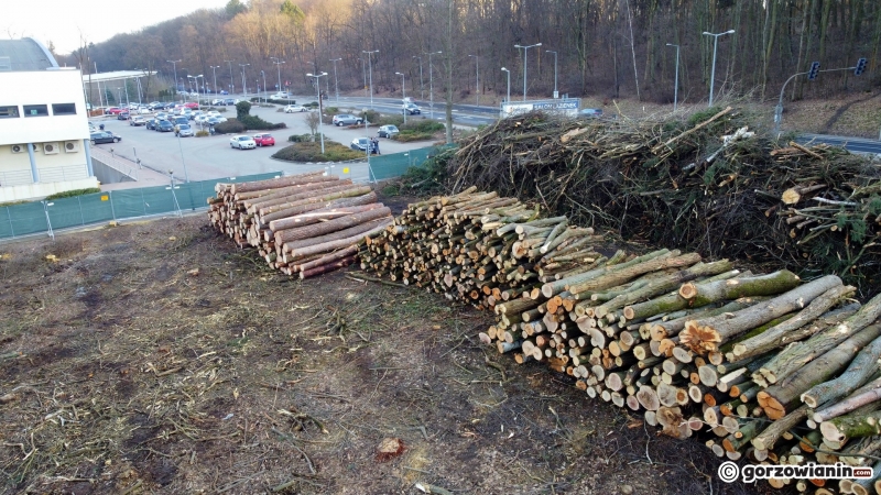 9/9 Trwa wycinka drzew w Parku Słowiańskim