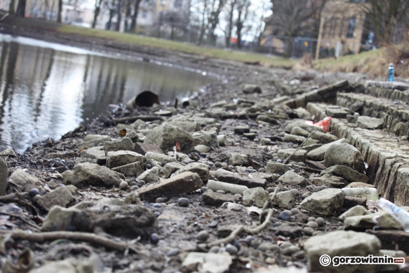 3/22 Prace rewitalizacyjne w parku Róż