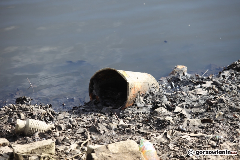 4/22 Prace rewitalizacyjne w parku Róż