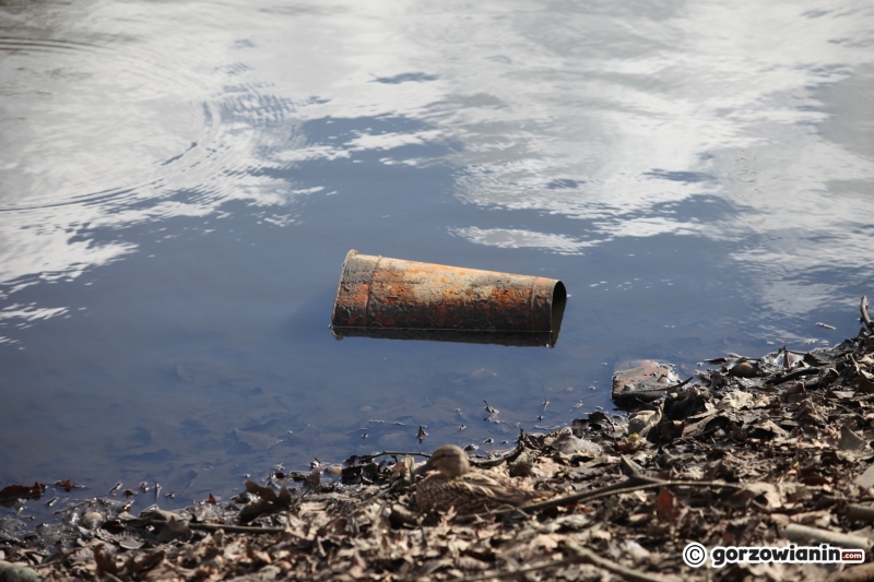 5/22 Prace rewitalizacyjne w parku Róż