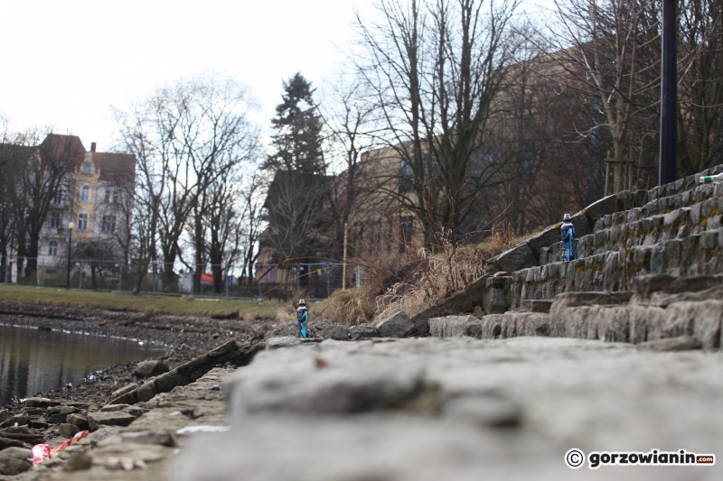 8/22 Prace rewitalizacyjne w parku Róż