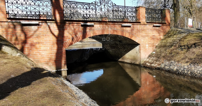 11/22 Prace rewitalizacyjne w parku Róż