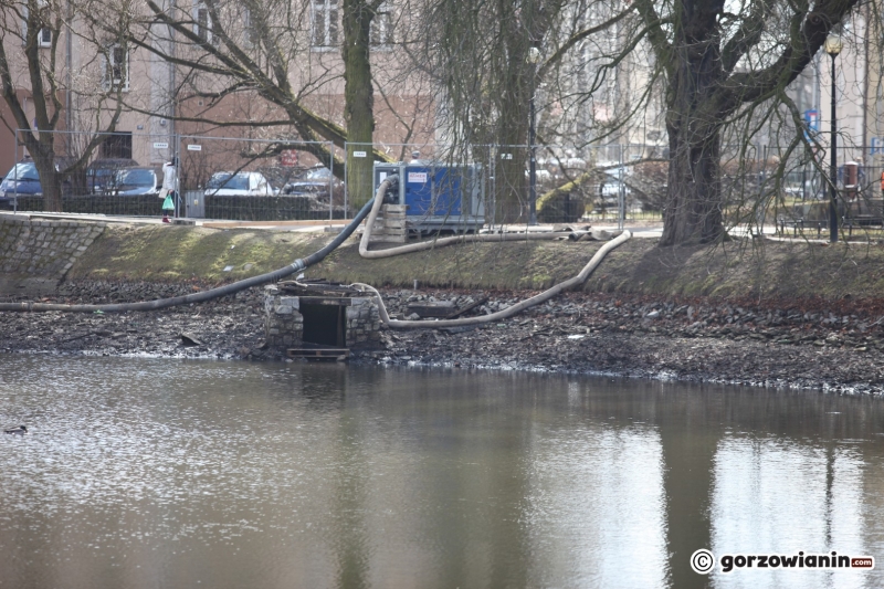 14/22 Prace rewitalizacyjne w parku Róż