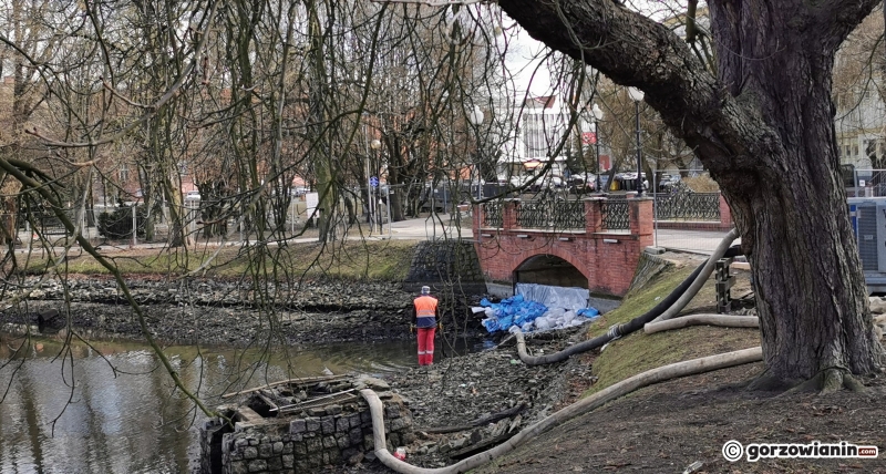 15/22 Prace rewitalizacyjne w parku Róż