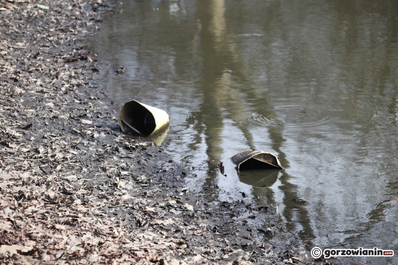 18/22 Prace rewitalizacyjne w parku Róż