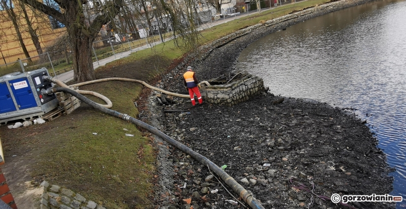 19/22 Prace rewitalizacyjne w parku Róż
