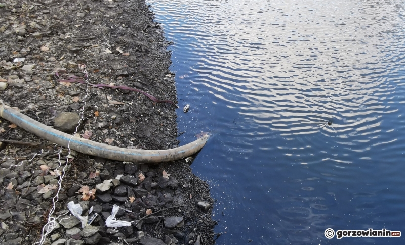 20/22 Prace rewitalizacyjne w parku Róż