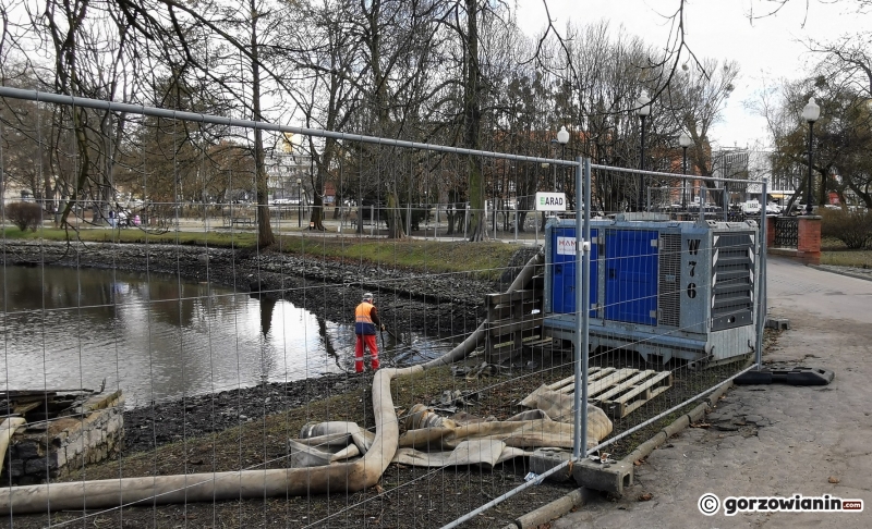 22/22 Prace rewitalizacyjne w parku Róż