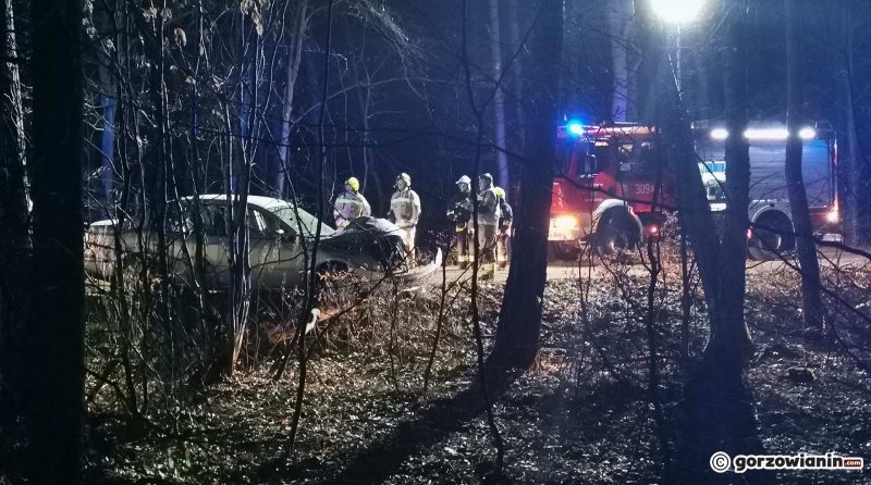 4/4 Pijany kierowca forda uderzył w drzewo