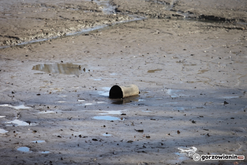 3/14 Ze stawu w parku Róż spuszczono wodę. Na dnie pojawiły się śmieci