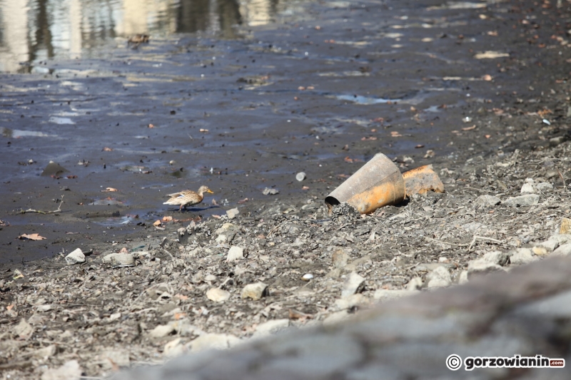 5/14 Ze stawu w parku Róż spuszczono wodę. Na dnie pojawiły się śmieci