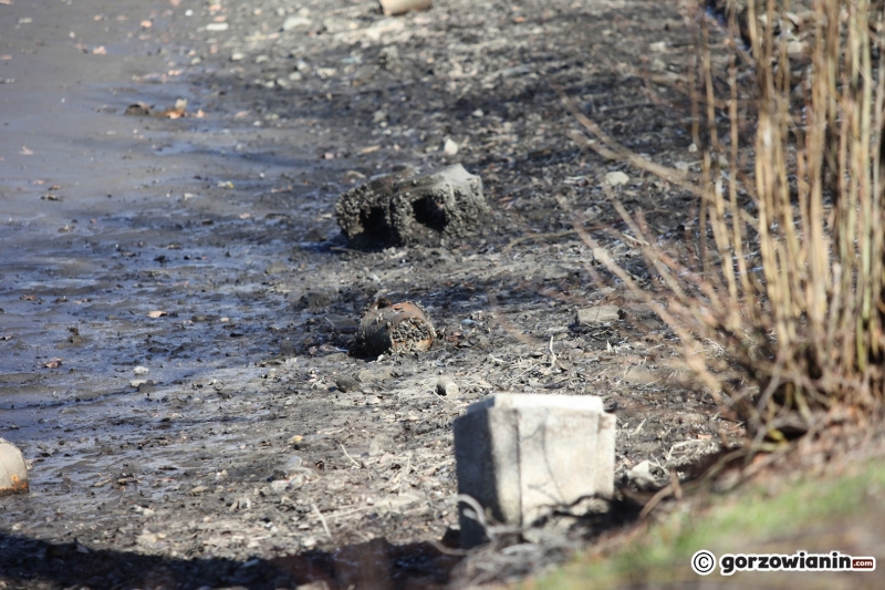 9/14 Ze stawu w parku Róż spuszczono wodę. Na dnie pojawiły się śmieci