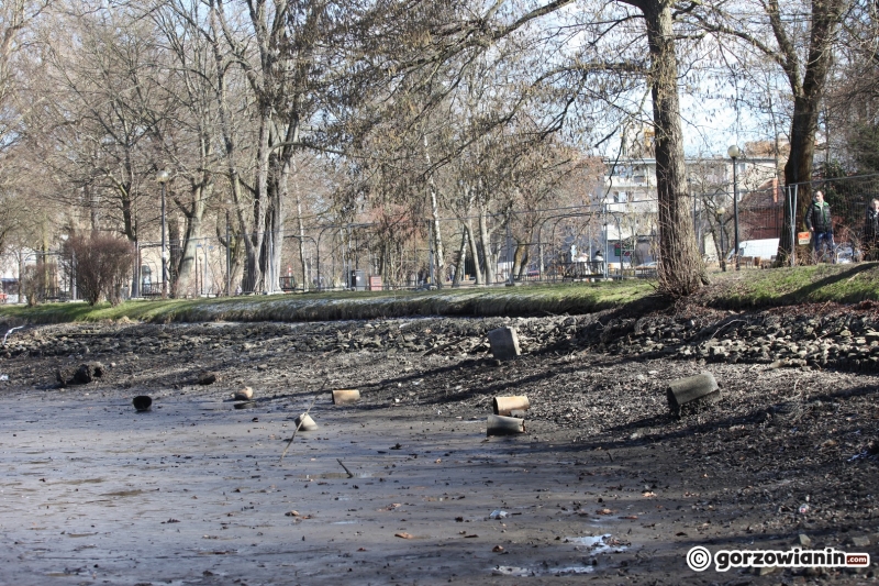 13/14 Ze stawu w parku Róż spuszczono wodę. Na dnie pojawiły się śmieci