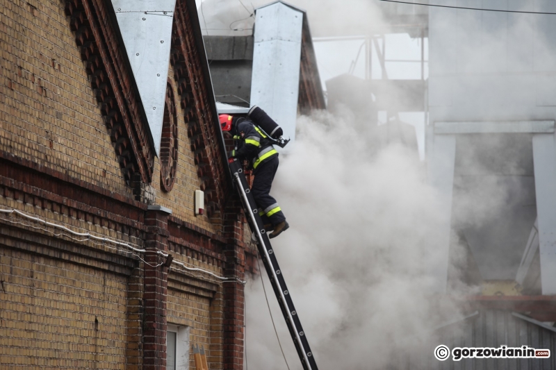4/11 Pożar archiwum LUW na Zawarciu