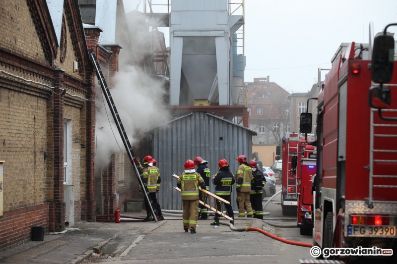 6/11 Pożar archiwum LUW na Zawarciu