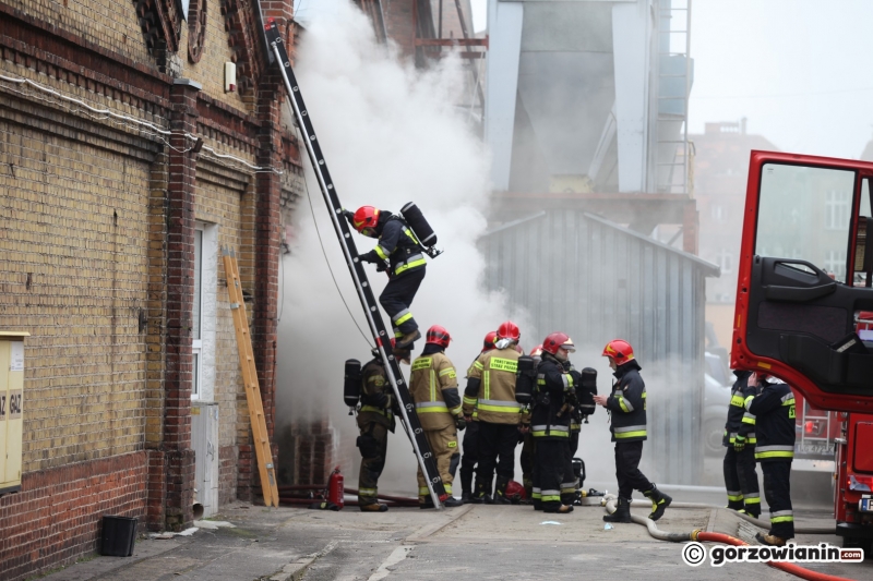 7/11 Pożar archiwum LUW na Zawarciu