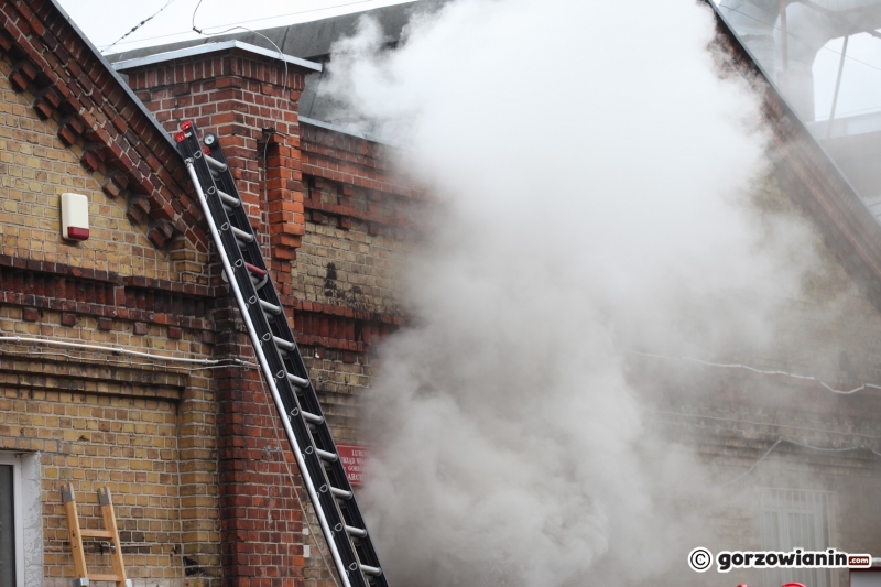 9/11 Pożar archiwum LUW na Zawarciu