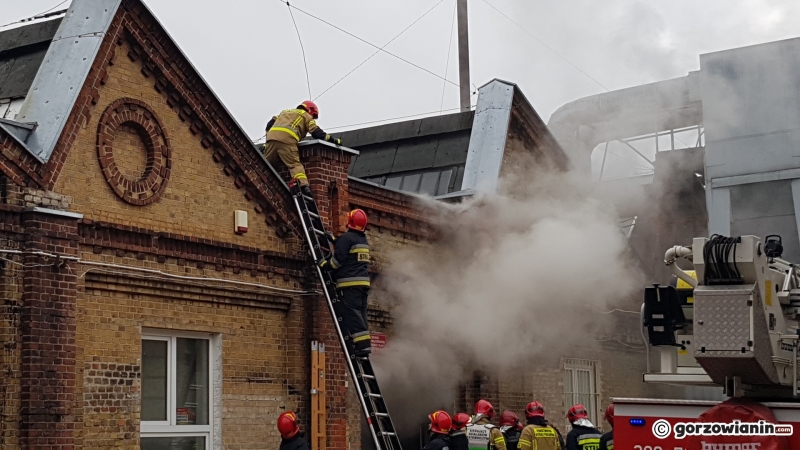 11/11 Pożar archiwum LUW na Zawarciu