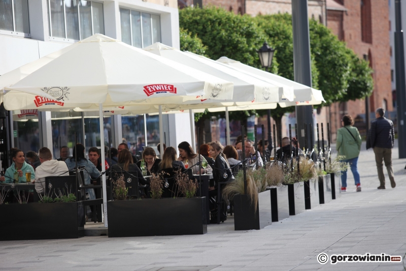 14/18 Otwarte ogródki gastronomiczne pełne klientów