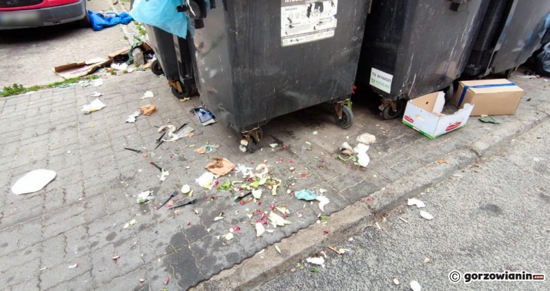 4/7 Śmieciowy armagedon przy ul. Lutyckiej