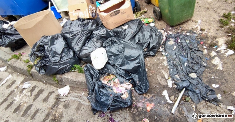 6/7 Śmieciowy armagedon przy ul. Lutyckiej