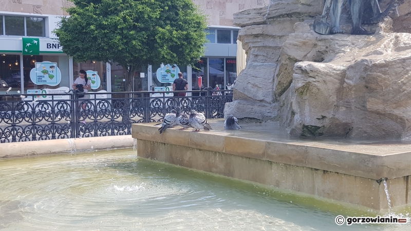 6/13 Kurtyny wodne chłodzą mieszkańców Gorzowa