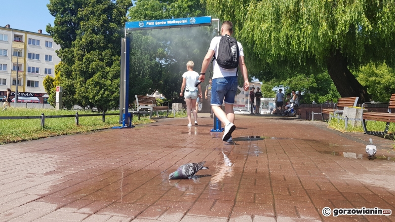 13/13 Kurtyny wodne chłodzą mieszkańców Gorzowa
